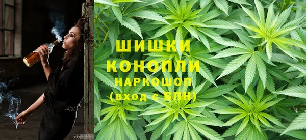 крисы Алзамай