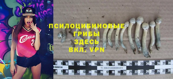 дживик Аркадак
