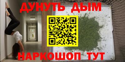mdpv Новодвинск