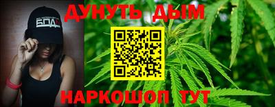мяу мяу мука Новозыбков