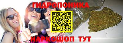 mdpv Новодвинск